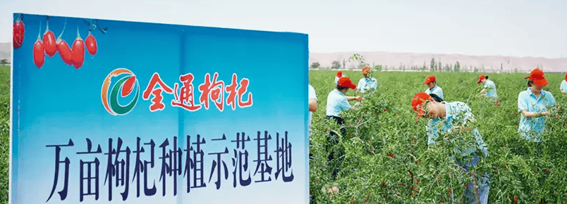 公司图片
